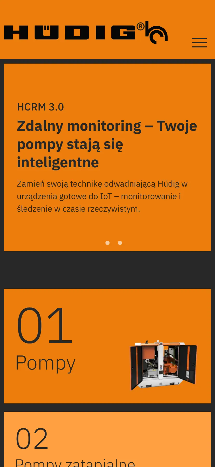 Hüdig Polska — widok mobilny