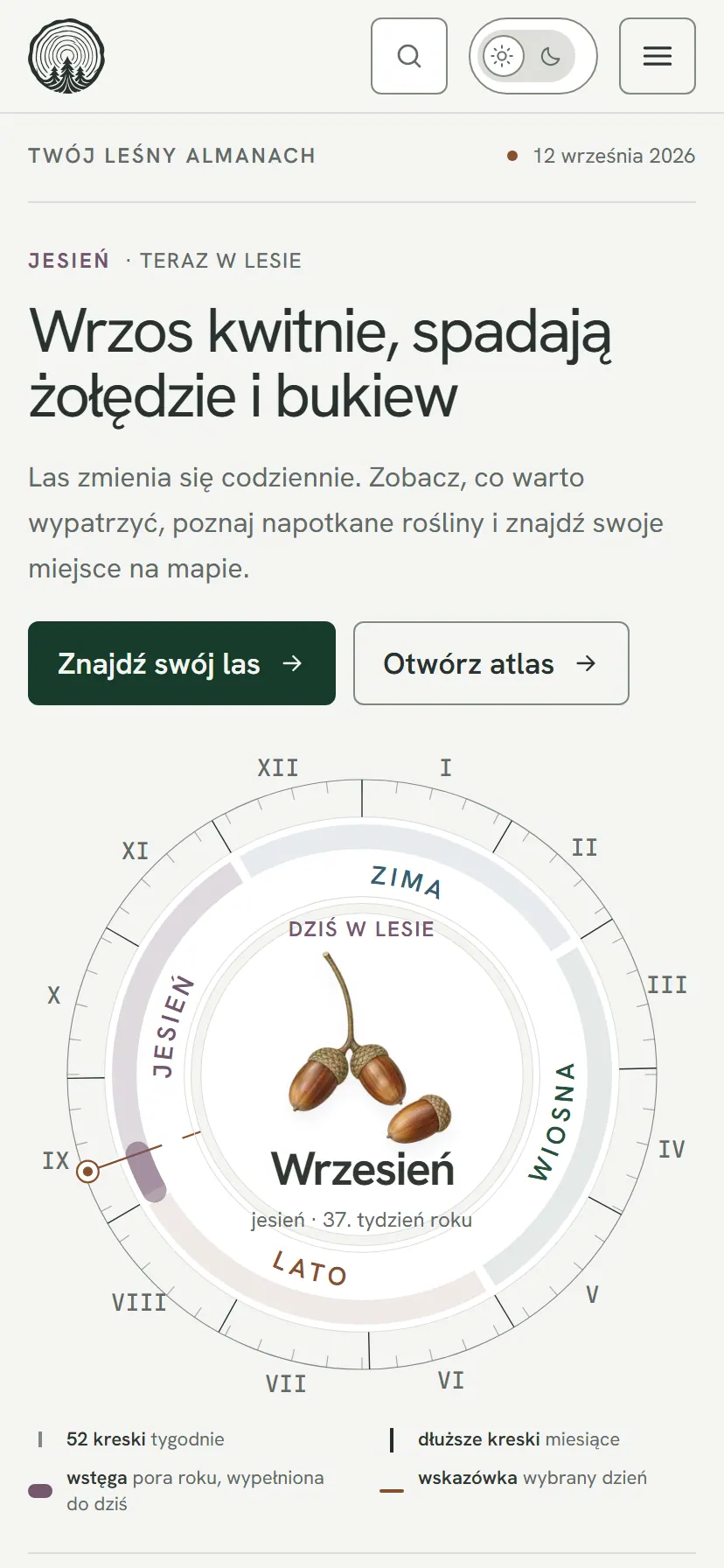 Świat Lasu — widok mobilny