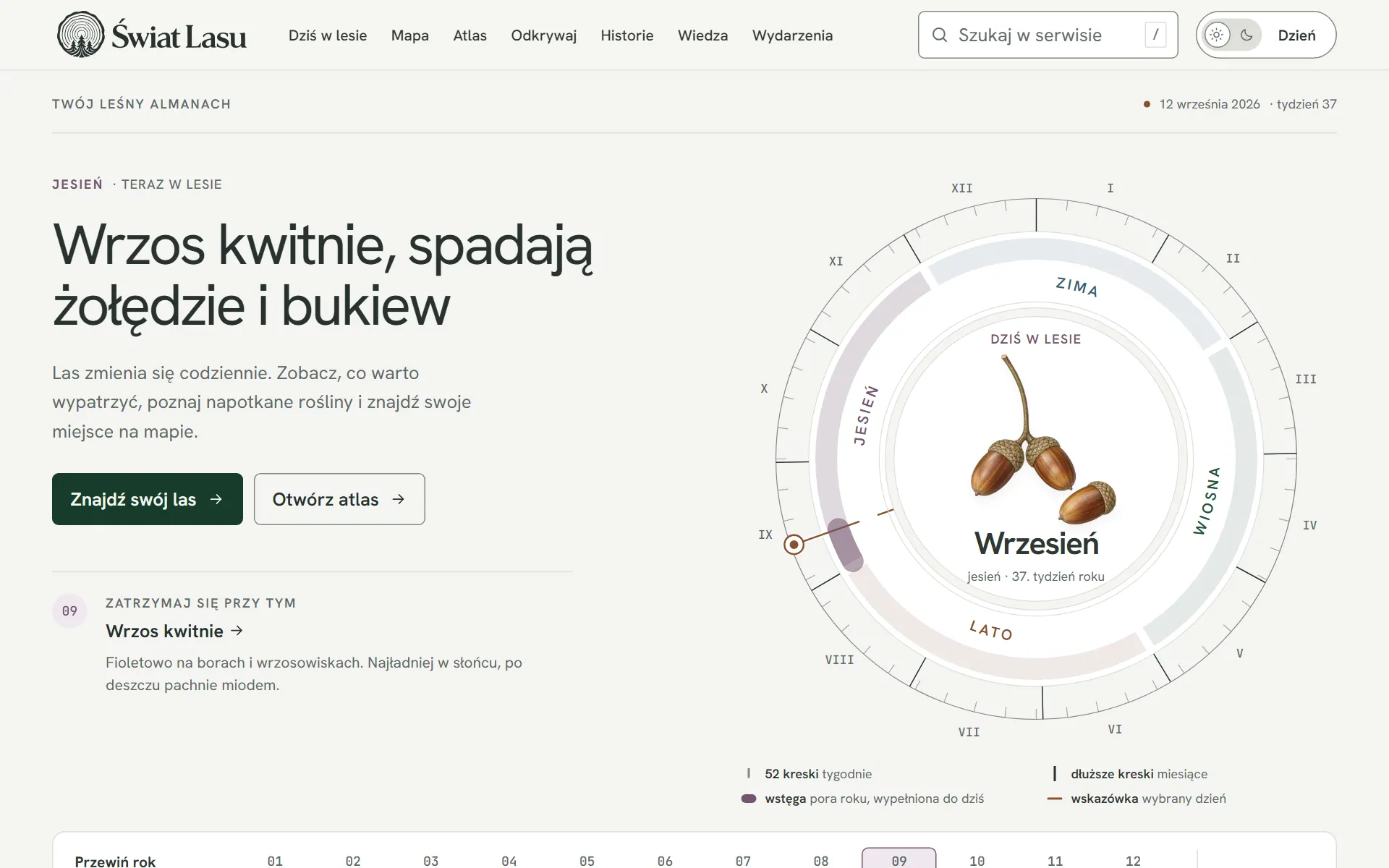 Świat Lasu
